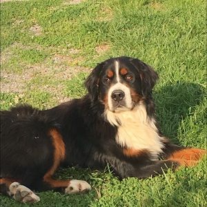 Meet your Posher, Angela